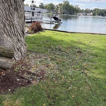 Global Tree Group - The pictures depict the debris left on the yard - Tree Services Near Me - West Bloomfield Township, Michigan Global Tree Group - The pictures depict the debris left on the yard - Tree Services Near Me - West Bloomfield Township, Michigan