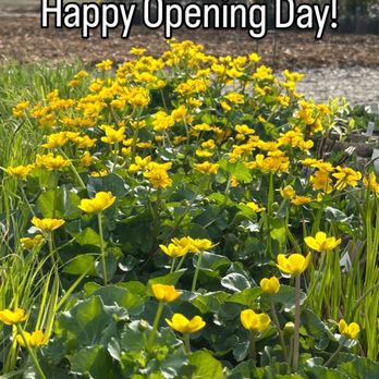 Scioto Gardens - Scioto Gardens is open for the 2026 season - come visit! - Nurseries & Gardening Near Me - Delaware, Ohio