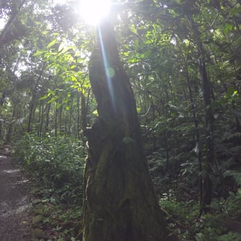 Angelito Trail - Hiking Near Me