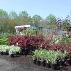 Coia's Garden Market