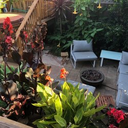 Farallon Gardens - Part of the back garden