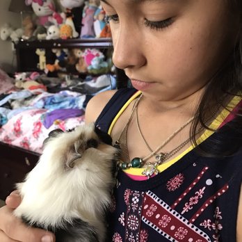PetSmart - My baby and her new baby - Pet Stores Near Me - Chula Vista, California