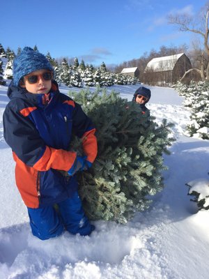KOLARIK CHRISTMAS TREE FARM - Updated October 2024 - Suttons Bay 