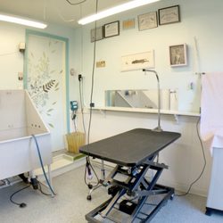 South Gay Drive Pet Grooming Room