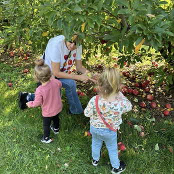 Battleview Orchards - Pick Your Own Farms Near Me - Freehold, New Jersey