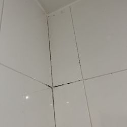 Avalon Hotel Paris - Black mold