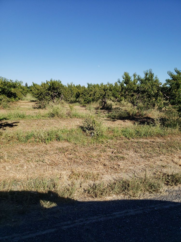 MANAS RANCH 14 Reviews 25838 County Road 21A, Esparto, California