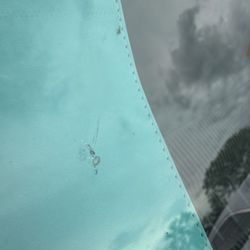 Windshield Doctor