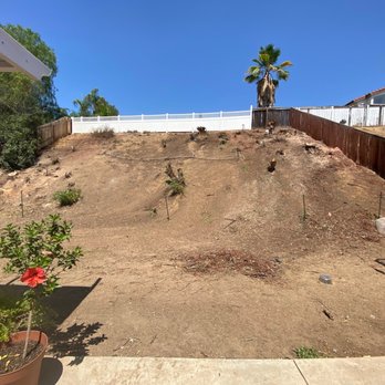 Angel Tree Care - All pepper trees removed and cut low to the ground. - Tree Services Near Me