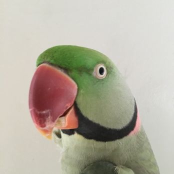 Local Joe - My baby's picture i sent to them - Coffee & Tea Near Me - Honolulu, Hawaii