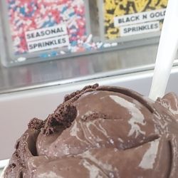 One scoop of fudge ice cream in a cup