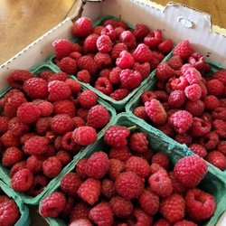 Albeke Farms - Delectable raspberries
