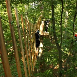 Kletterwald Marburg - Klettern durch grüne Baumwipfel