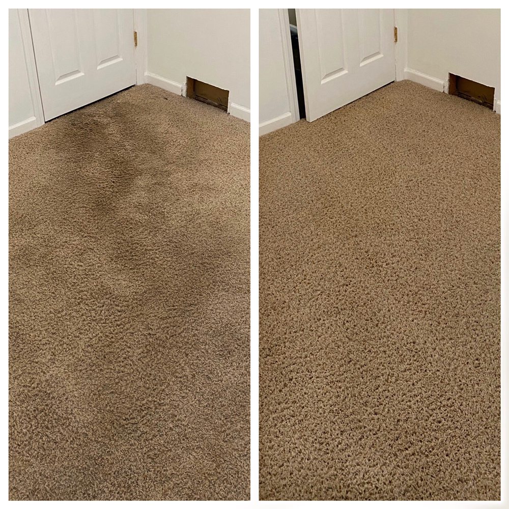 GREENS FLOOR CARE Central City, Nebraska Carpet Cleaning Phone