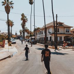 The avenue boardshop