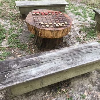 Goose Creek State Park - This is in the campground with a little seating area like an amphitheater near the campsites - Parks Near Me - Washington, North Carolina