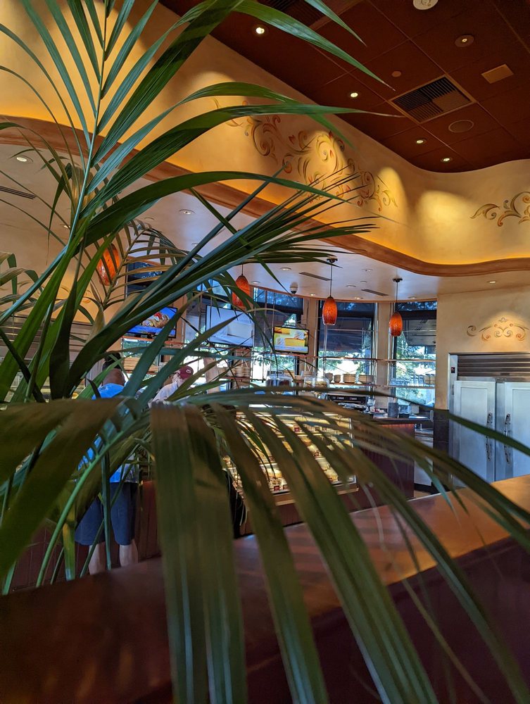 The Cheesecake Factory