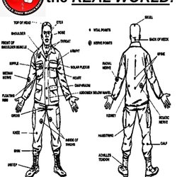 Sensei Gregory C. Lewis' Modern Karate - Karatemeansemptyhand.com