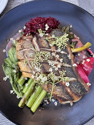 Forage by null Forage by null