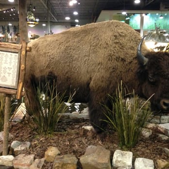 Bass Pro Shops - Grapevine - Hunting & Fishing Supplies Near Me - Grapevine, Texas