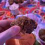 Photo of Champy’s Famous Fried Chicken