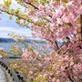 Photo of Terry Akiyama - General Mortgage Capital Corporation