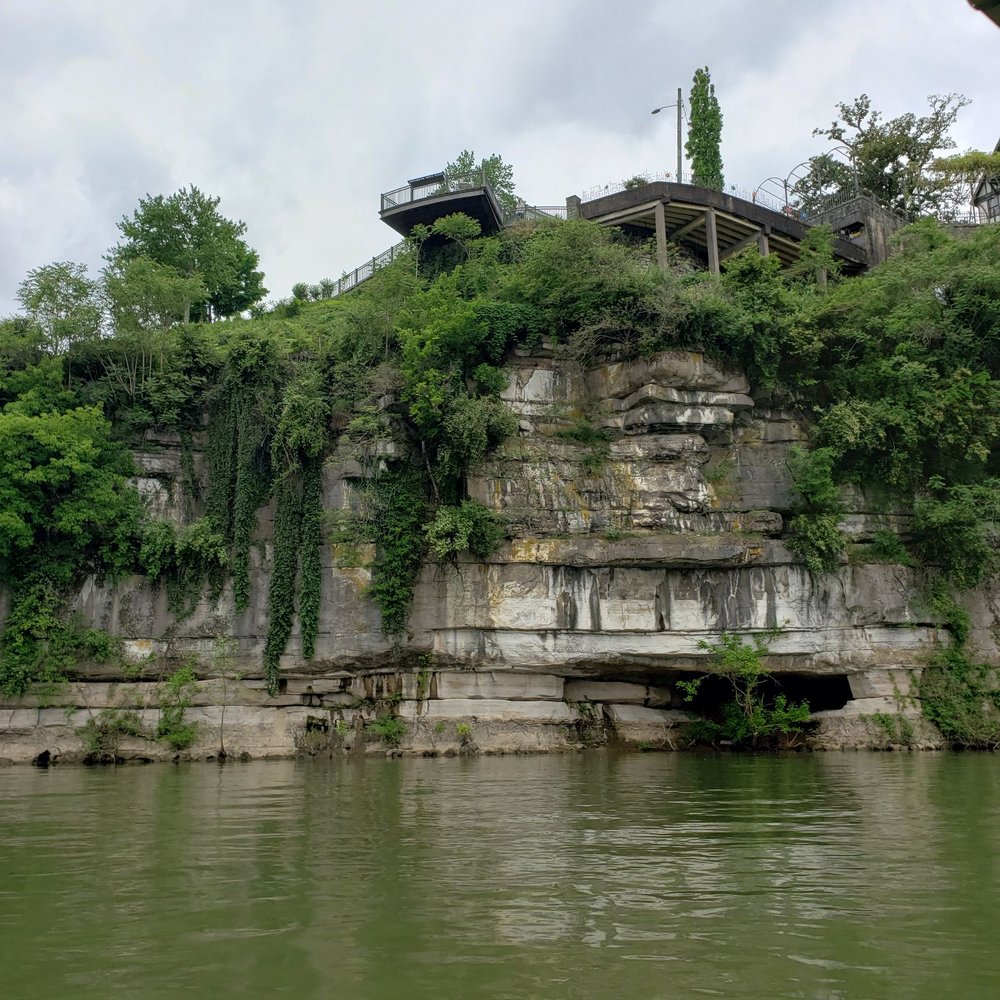 Chattanooga Ducks - Boat Tours Near Me - Chattanooga, Tennessee Chattanooga Ducks - Boat Tours Near Me - Chattanooga, Tennessee