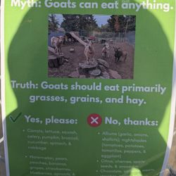 Tucker Maxon Goat Park