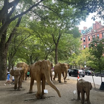 Commonwealth Avenue Mall - Parks Near Me - Boston, Massachusetts