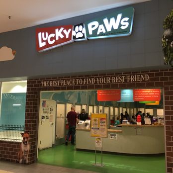 lucky paws coronado center