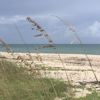 Avalon State Park - Beautiful beach - Beaches Near Me - Fort Pierce, Florida