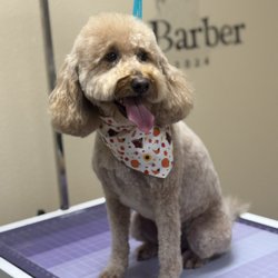 Pet Barber