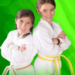 Still Water Martial Arts