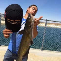 Amaysing Fishing Bait An Tackle - FISH TAKEN ON THE WORLDS STRONGEST FISH ATTRACTANT, XXXBLOOD FROM AMAYSING FISHING BAIT& TACKLE 24HR BAIT HOTLINE 661 429 5824