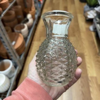 Forever Plants Plus - Nurseries & Gardening Near Me - Seaside, California
