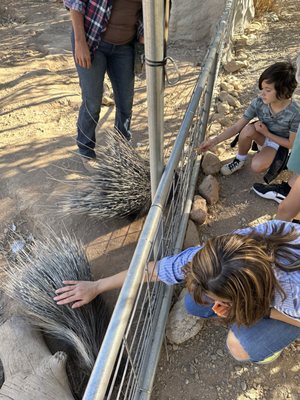 GHOST RANCH EXOTICS AND FUNNY FOOT FARM - Updated March 2026 - 56 ...