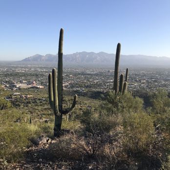Tumamoc Hill - Hiking Near Me - Tucson, Arizona