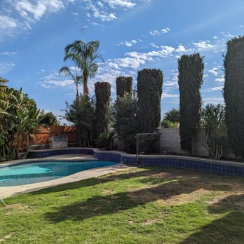 Henriquez Tree Service - After - Tree Services Near Me - Bakersfield, California Henriquez Tree Service - After - Tree Services Near Me - Bakersfield, California
