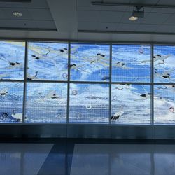 Oakland International Airport