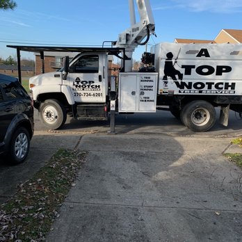 A Top Notch Tree Service - Tree Services Near Me