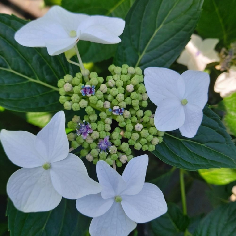 TOP 10 BEST Bakery in Cesena, Italy - Updated 2025 - Yelp, image size:1000x1000