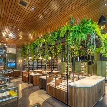 March and Ash Imperial Beach Dispensary - Cannabis Dispensaries Near Me - Imperial Beach, California March and Ash Imperial Beach Dispensary - Cannabis Dispensaries Near Me - Imperial Beach, California