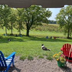 Arrowhead Spring Vineyards