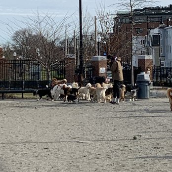 Must Luv Dogs - Dog Walkers Near Me - Boston, Massachusetts Must Luv Dogs - Dog Walkers Near Me - Boston, Massachusetts