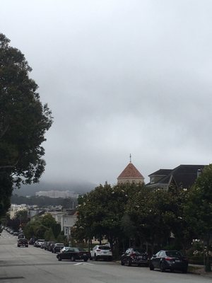 Laurel Heights by null