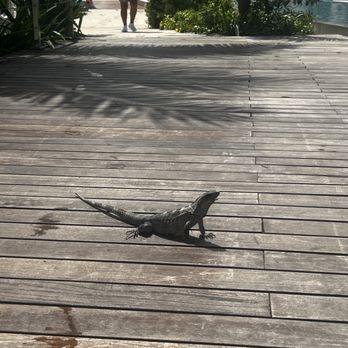 Haven - Friends throughout the resort - Resorts Near Me - Cancún, ROO Haven - Friends throughout the resort - Resorts Near Me - Cancún, ROO