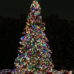Huge Christmas tree Huge Christmas tree