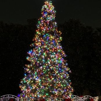 Vitruvian Park - Huge Christmas tree - Parks Near Me - Addison, Texas Vitruvian Park - Huge Christmas tree - Parks Near Me - Addison, Texas