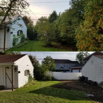 AAA Arborist Tree Experts - Tree Services Near Me