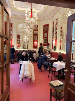 Café Sacher Wien by null